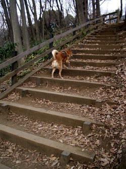 park2.jpg