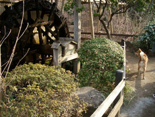 park3.jpg
