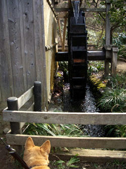 park4.jpg