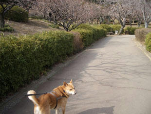 park9.jpg