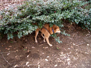 park10.jpg