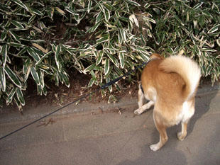 park11.jpg