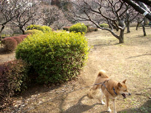 park13.jpg