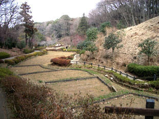 park14.jpg