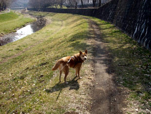 park15.jpg
