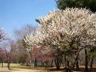 park19.jpg
