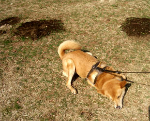 park21.jpg