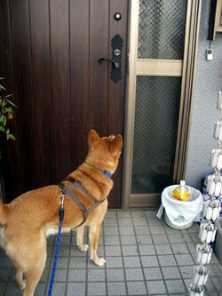 sanpo27.jpg
