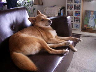 nick111.jpg