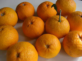 orange8.jpg