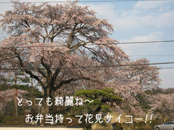IMG20090406-n2.jpg