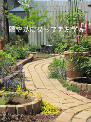 IMG20090429-n1.jpg