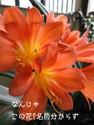 IMG20090505-n3.jpg