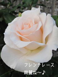 IMG20090524-ni1.jpg