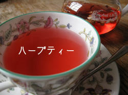IMG20090618-n8.jpg