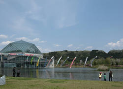 IMG20100502-n1.jpg