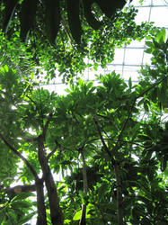 IMG20100502-n2.jpg