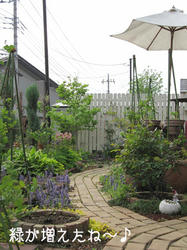 IMG20100508-n1.jpg