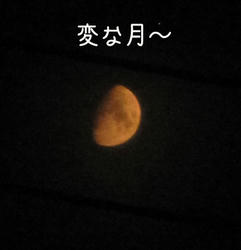 IMG20100720-n.jpg