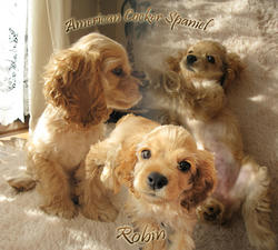 pigg-20111115-2.jpg