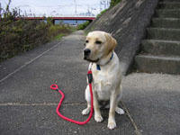 PB100075.jpg