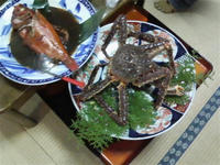 SA3B0208.JPG