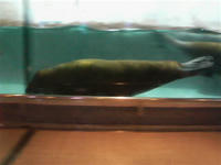 SA3B0216.JPG