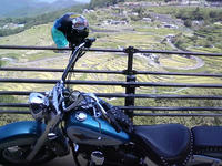 SA3B0245.JPG
