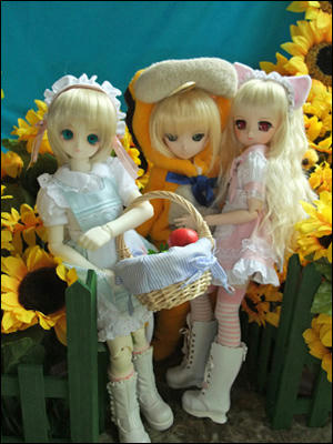 miumili002.JPG