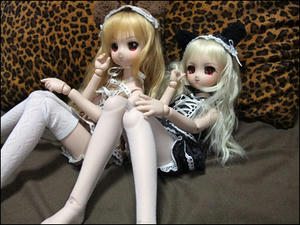 mililam02.JPG