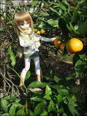 mili040.JPG