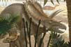 47871d64.jpg