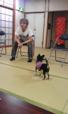 Image436.jpg
