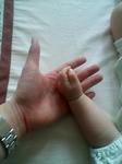 20080703072829.jpg