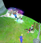 ss20071228_170155.jpg