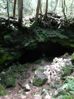 R0012205.JPG
