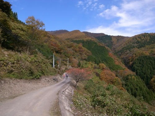 R0012368.JPG