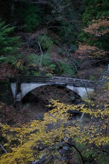 IMGP0018.JPG
