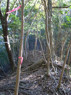 R0012566.JPG