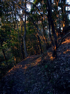 R0012611s.jpg