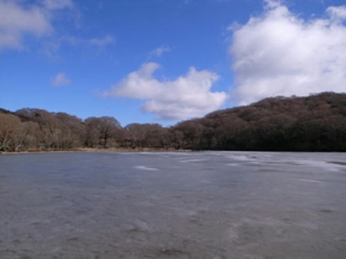 R0012705.JPG