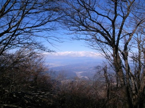 R0012708.JPG