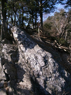 R0012723.jpg