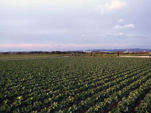 R0012815.JPG