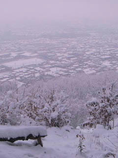 R0012878.jpg
