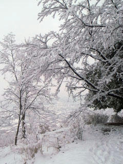 R0012881.jpg