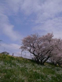 R0013193.jpg