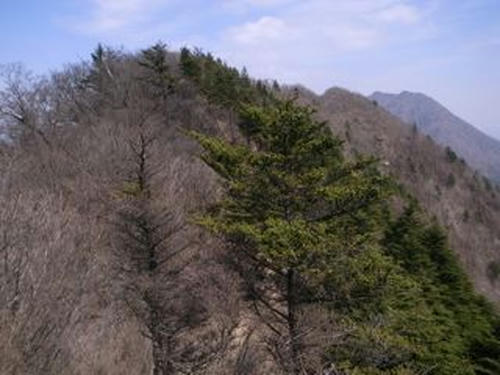 R0013249.jpg