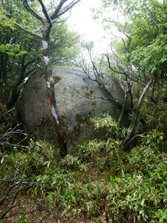 20110618-R0013572.jpg
