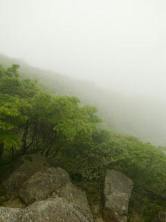 20110618-R0013557.jpg